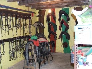  Descubra la talabartería del centro 